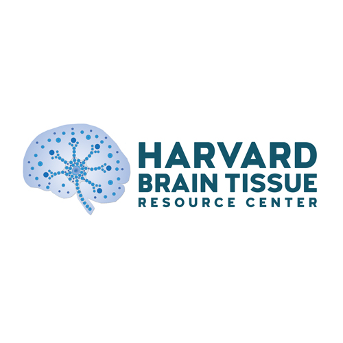 brain_bank_logo_R3_D_2021