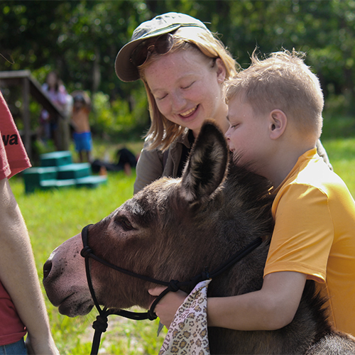 53122895211_b16eb08644_o-scaled