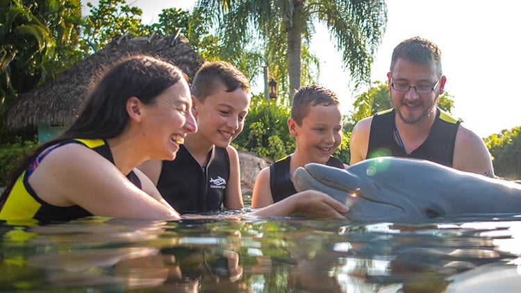 750x422-DCO-2024-Dolphin-Swim-Media-3